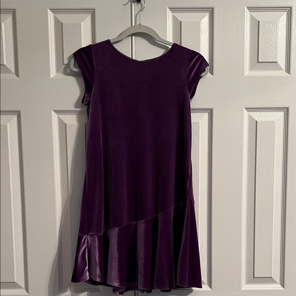 Lands' End Purple Velour dress